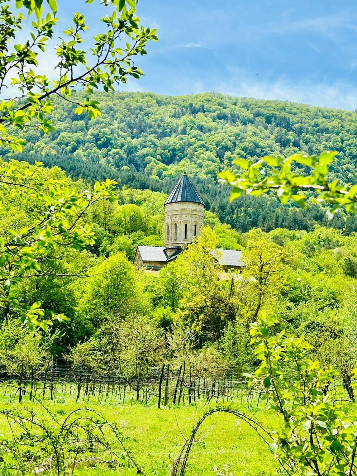 Kesane In Racha Villa Tsesi Exterior foto