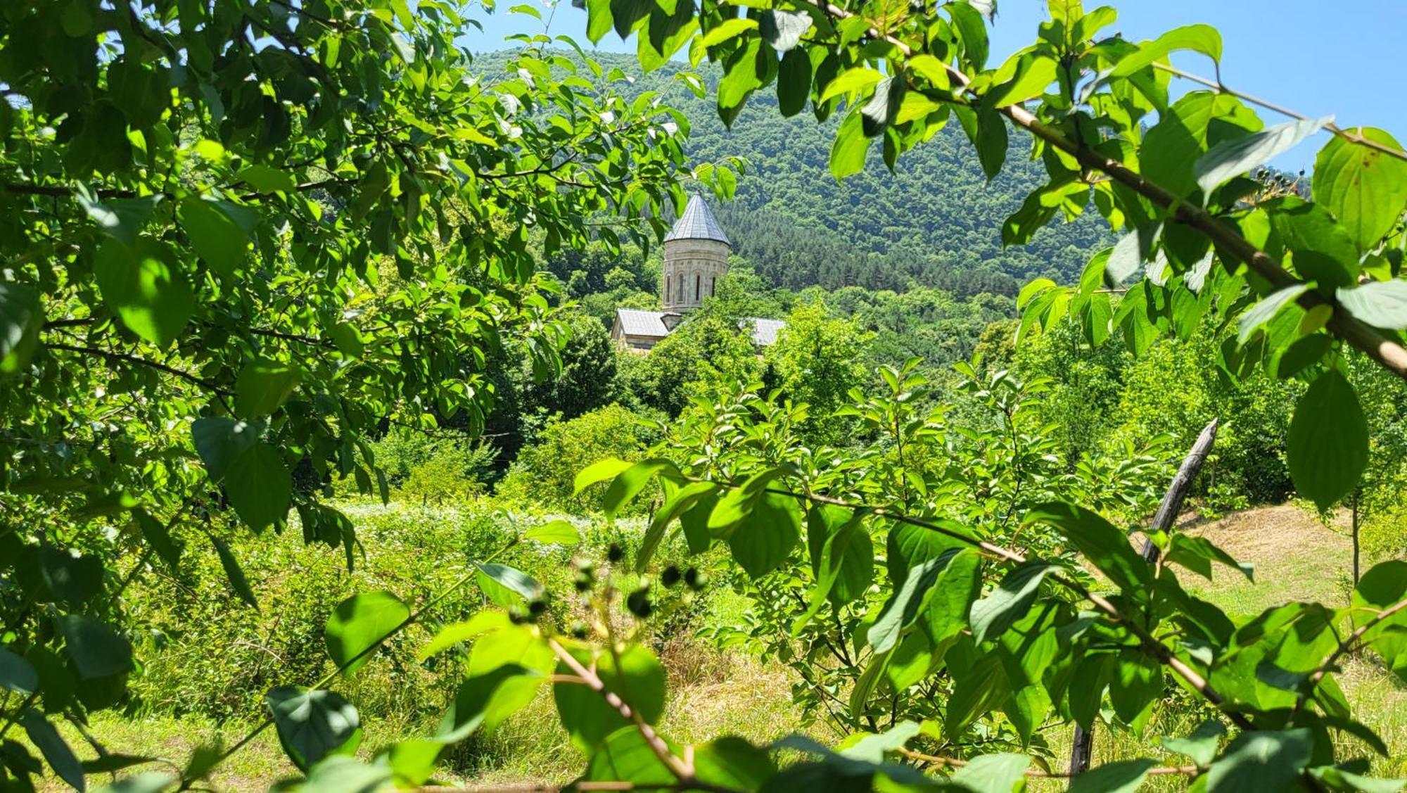 Kesane In Racha Villa Tsesi Exterior foto