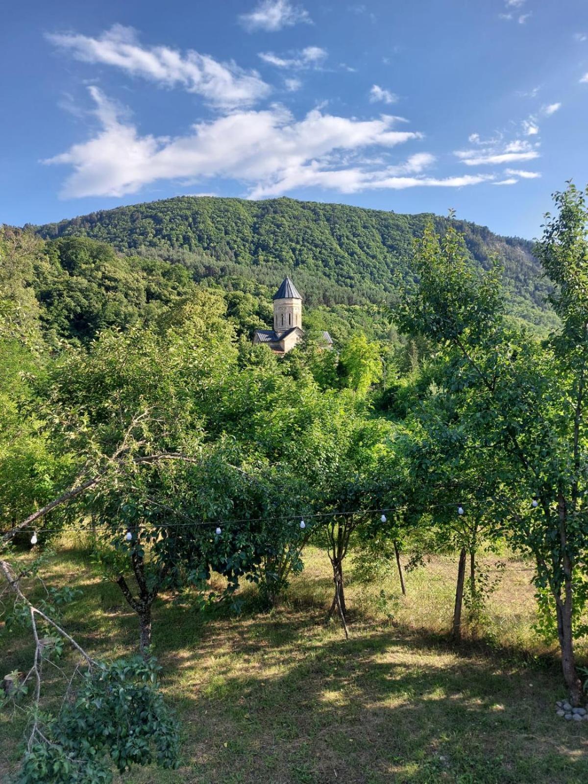 Kesane In Racha Villa Tsesi Exterior foto